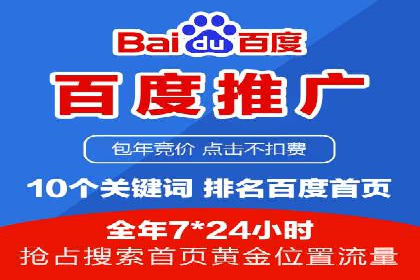 成功案例解析：SEO与SEM协同营销策略